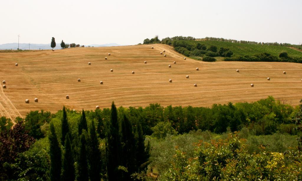 Podere Gattabigia Lastra a Signa Ngoại thất bức ảnh